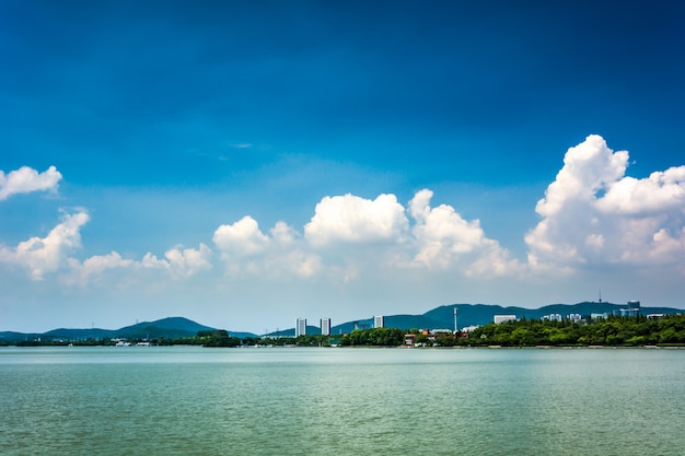 Kostenloses Foto sommerlandschaft mit see am sonnigen tag