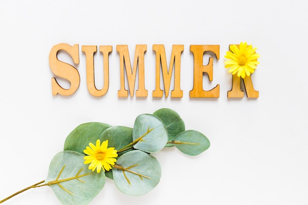 Kostenloses Foto sommertext mit gelber blume