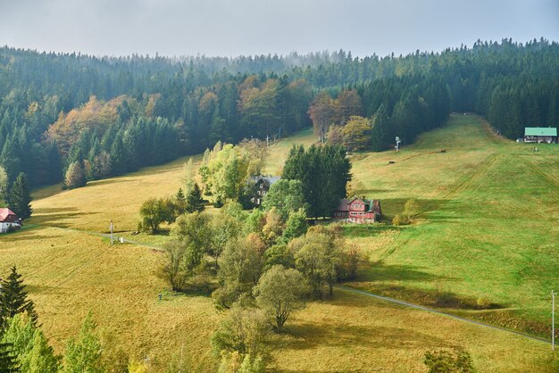 Sonnenbeschienene Hügelweide im Herbst