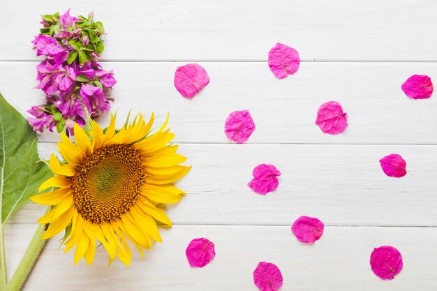 Sonnenblume und Blüten Ornament