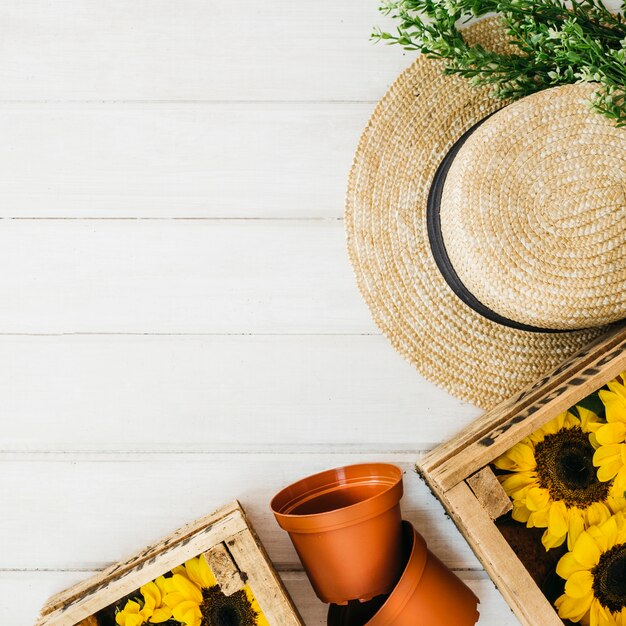 Sonnenblumen in Holzkisten mit Platz auf der linken Seite