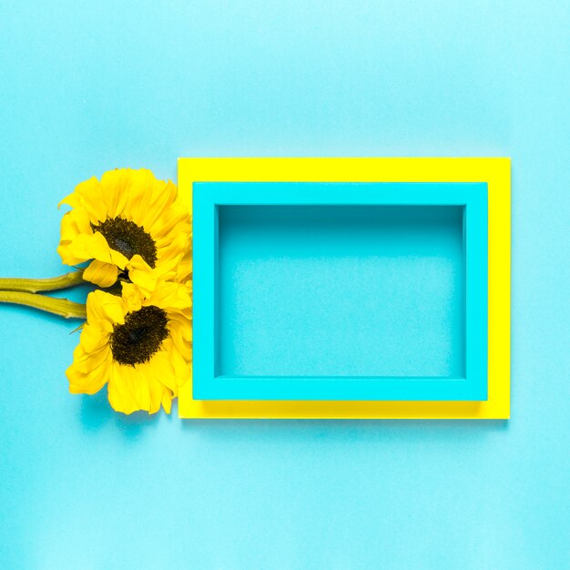 Sonnenblumen und Rahmen