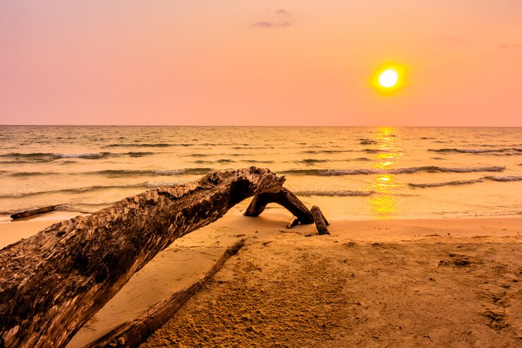 Kostenlose Foto sonnenuntergang am strand
