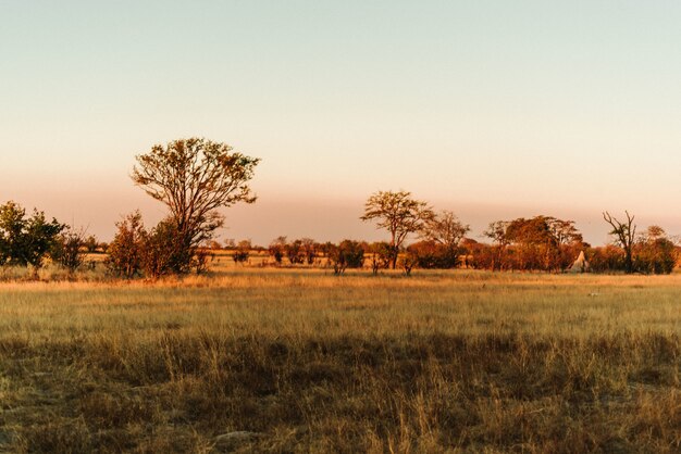 Sonnenuntergang im Hwange National Park, Simbabwe
