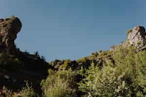 Kostenloses Foto sonnige felsige landschaft mit vegetation