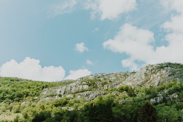 Sonnige felsige Landschaft mit Vegetation