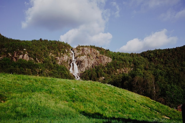 Sonnige Landschaft eines Feldes