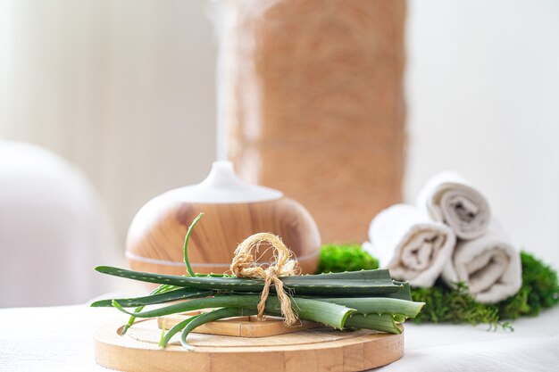 Spa-Zusammensetzung mit dem Aroma eines modernen Öldiffusors mit Körperpflegeprodukten. Verdrehte weiße Handtücher und Aloe Vera. Das Konzept des Wohlbefindens für Körper und Gesundheit.