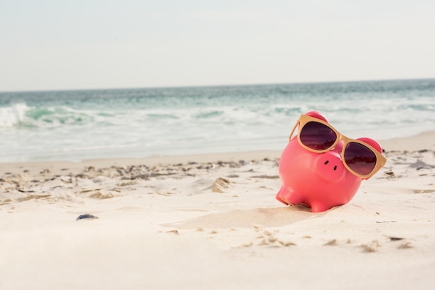 Sparschwein mit Sonnenbrille gehalten auf Sand