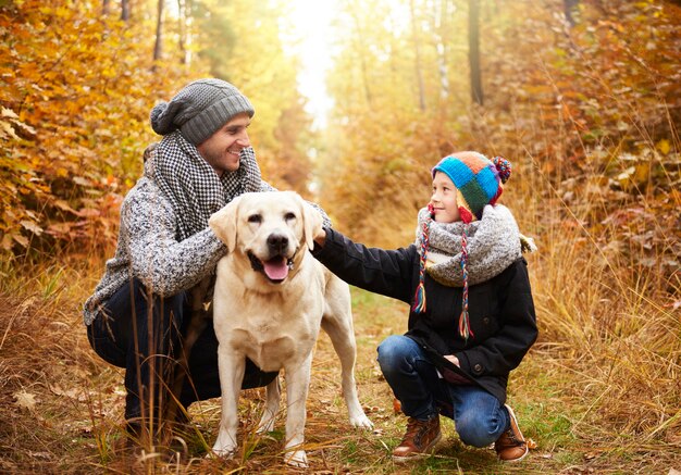 Spaziergang mit Hund im Wald