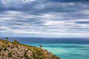 Kostenloses Foto spektakuläre aussicht auf eine klippe und das meer mit bewölktem himmel