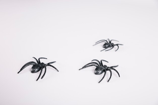 Spinnen kriechen weg auf weißem Hintergrund