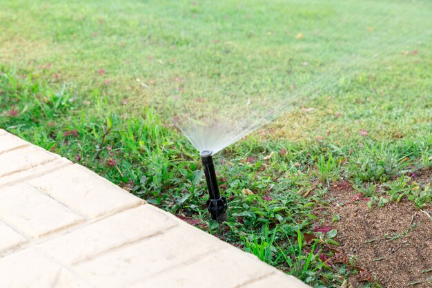 Sprinkler Bewasserung Das Feld Kostenlose Foto