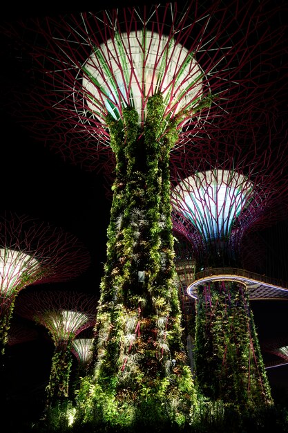 Stadt Natur botanischen wunderschöne Anlage