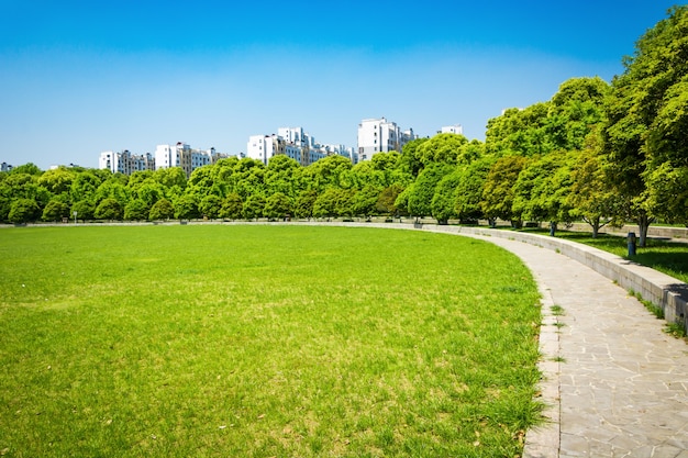 Stadt und Gras mit blauem Himmel