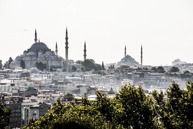 Stadtbild von Istanbul mit Hagia Sophia und Blauer Moschee