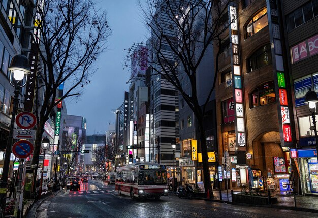 Stadtlandschaftsstadt von Japan