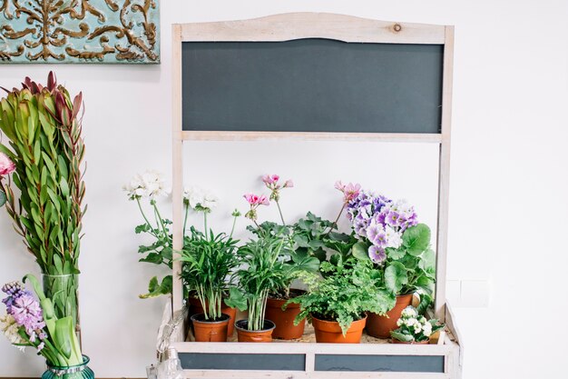 Stall mit Topfblumen