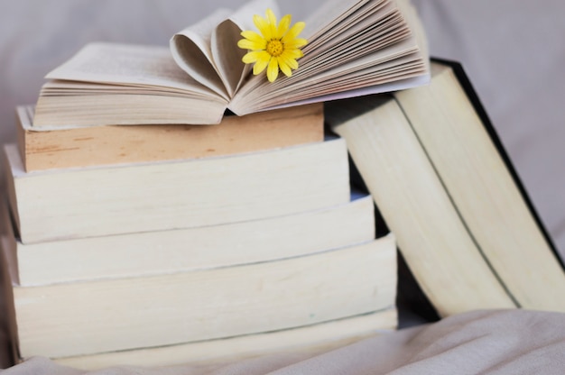 Stapel Bücher mit gelber Blume oben