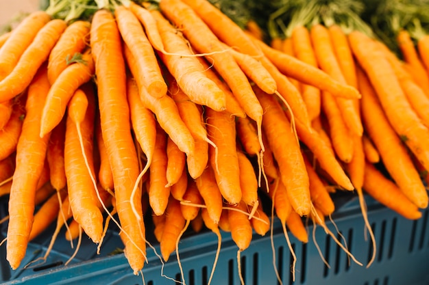 Stapel von Orange geernteten Karotten