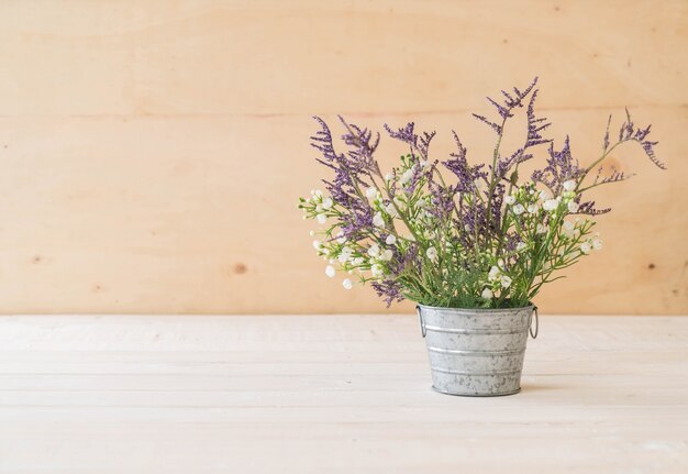 statice und caspia blumen