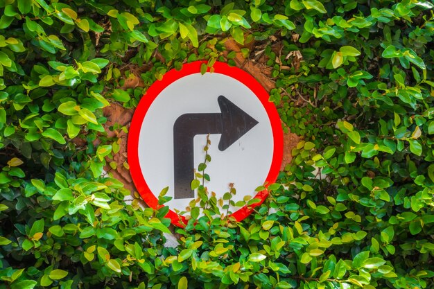 Stellt sich nach rechts Schild mit dem grünen Blatt