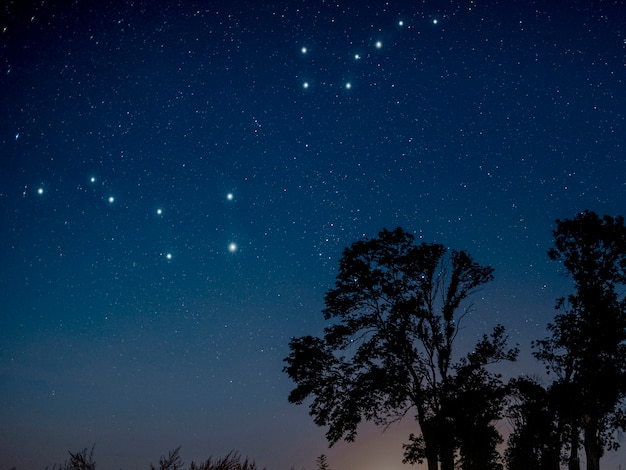 Sternbilder Ursa Major und Ursa Minor