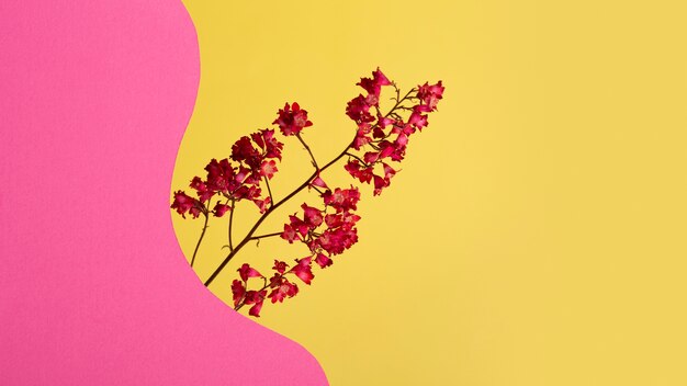 Ästhetische Frühlingstapete mit rosa Blumen