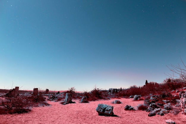 Ästhetische Retro-Dampfwellenlandschaft