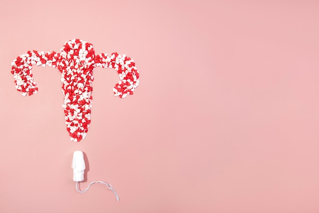 Stilleben Eierstock mit hygienischer Menstruationsbinde
