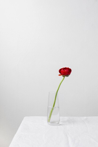 Stillleben-Anordnung der inneren Blume in der Vase