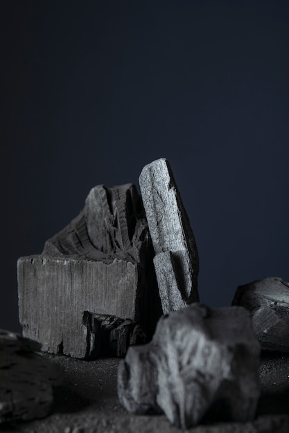 Stillleben aus Asche mit Kohle