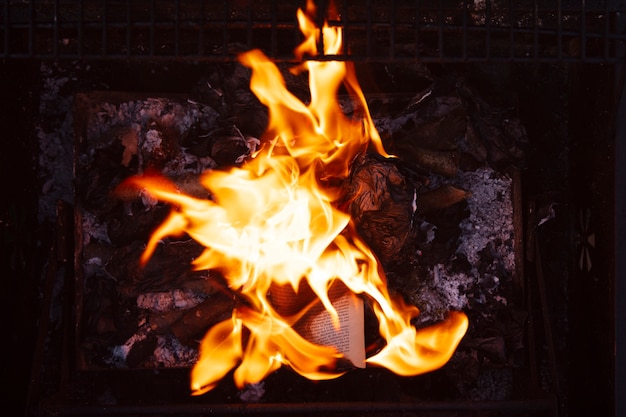 Kostenloses Foto stillleben aus verbranntem papier mit flammen