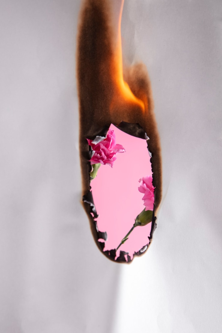 Kostenlose Foto stillleben aus verbranntem papier mit nelkenblume