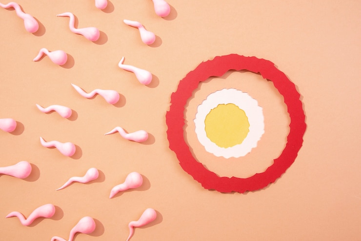 Kostenlose Foto stillleben-eierstock, umgeben von spermatozoiden