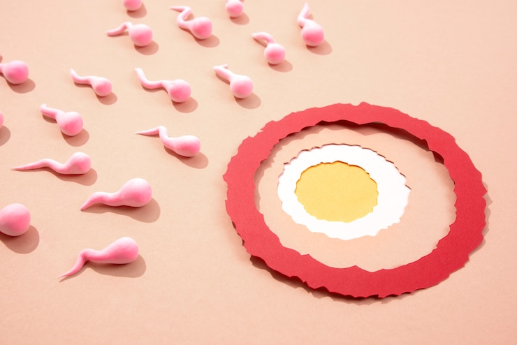 Kostenlose Foto stillleben-eierstock, umgeben von spermatozoiden