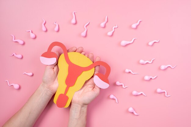 Stillleben-Eierstock, umgeben von Spermatozoiden