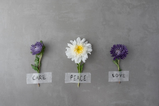 Stillleben Friedenstag Arrangement mit Blume