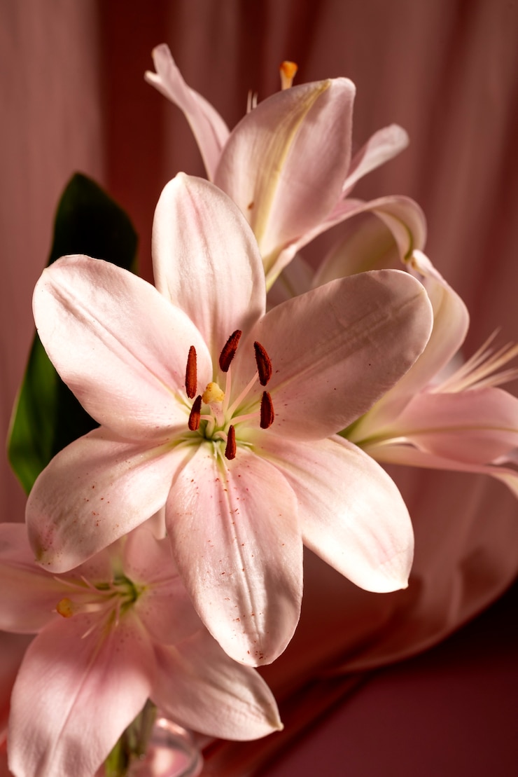 Kostenlose Foto stillleben mit blumenarrangement
