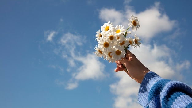 Kostenloses Foto stillleben mit gänseblümchen