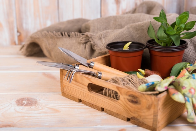 Stillleben mit Gartenobjekten