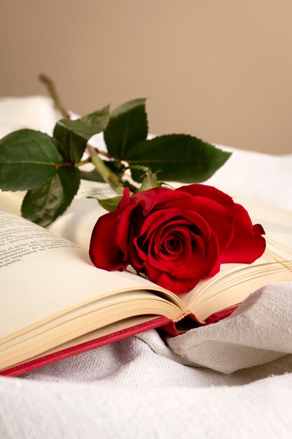 Stillleben von Sant Jordi für den Tag der Bücher und Rosen