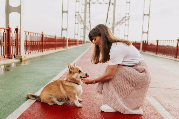 Stilvolle hübsche Frau, die Rock und weißes T-Shirt trägt, das mit Corgi-Hund auf der sonnigen Brücke spielt