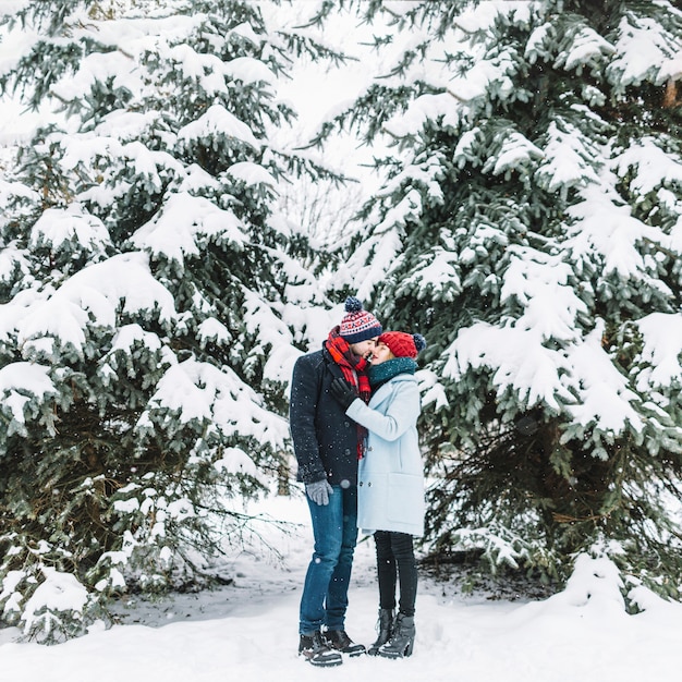 Stilvolle liebevolle Paare im schneebedeckten Holz