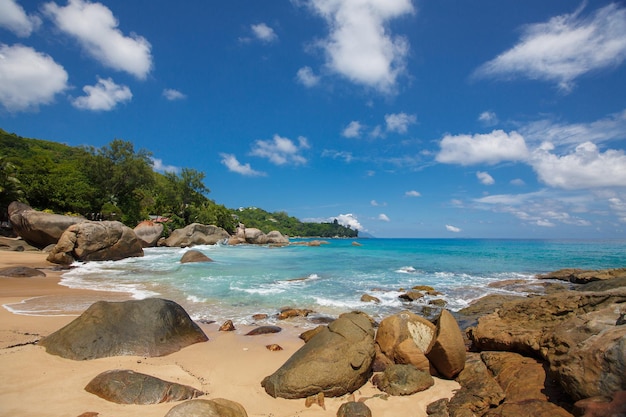 Strand der seychellen