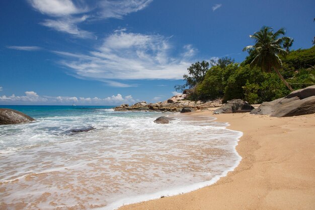 Strand der Seychellen