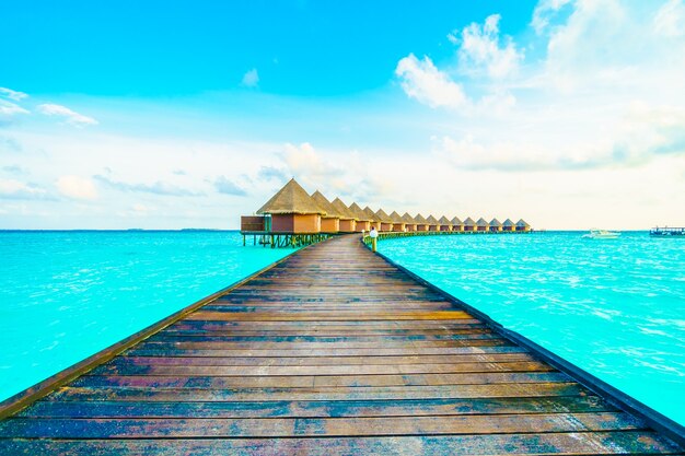 Strand grün im Freien blauen Meer