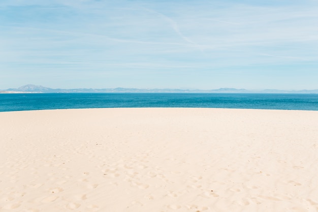 Kostenloses Foto strand hintergrund