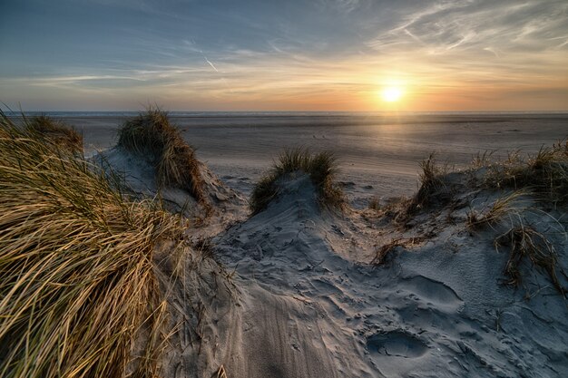Strand mit Gras bedeckt, umgeben vom Meer während des Sonnenuntergangs - perfekt für Tapeten