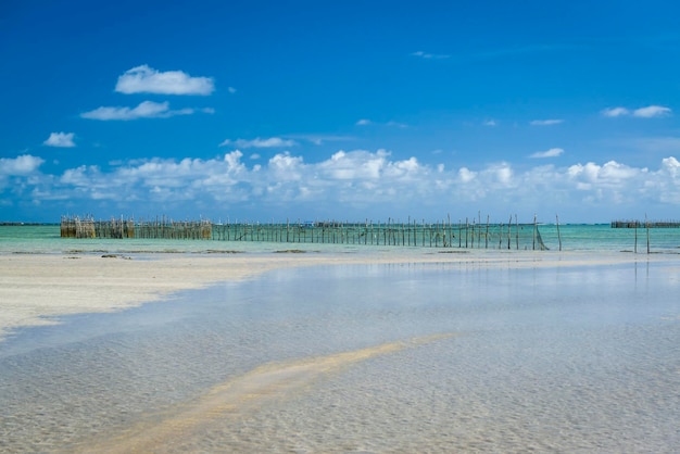 Strand sao miguel dos milagres alagoas brasilien marceneiro strand mit fischgehege